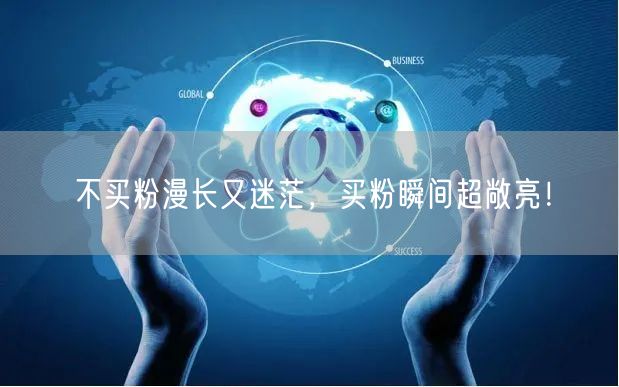 不买粉漫长又迷茫，买粉瞬间超敞亮！