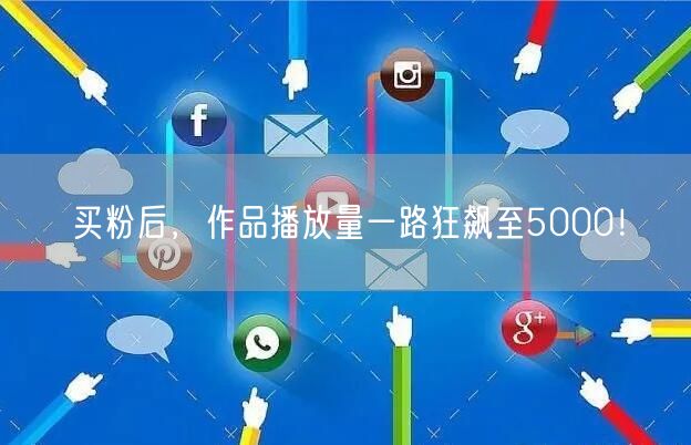 买粉后，作品播放量一路狂飙至5000！