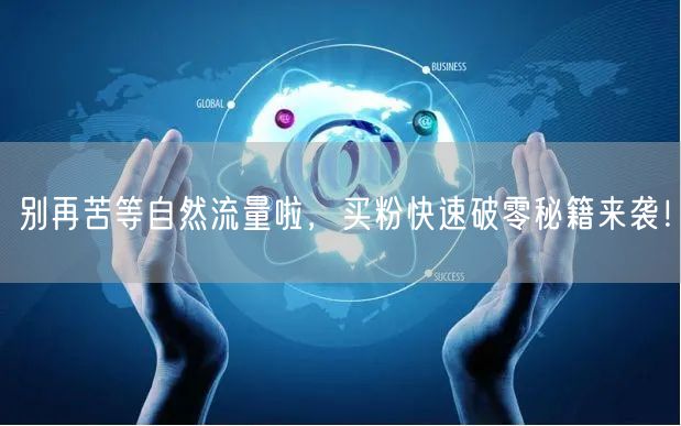 别再苦等自然流量啦，买粉快速破零秘籍来袭！