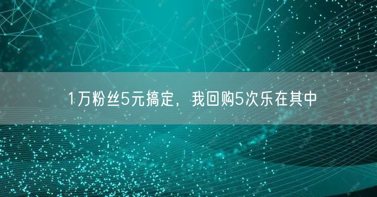1万粉丝5元搞定，我回购5次乐在其中