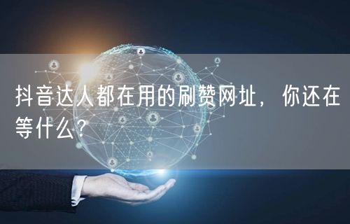 抖音达人都在用的刷赞网址，你还在等什么？