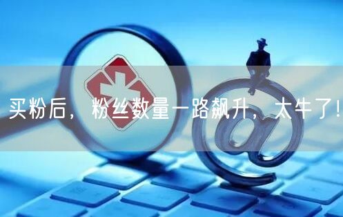 买粉后，粉丝数量一路飙升，太牛了！