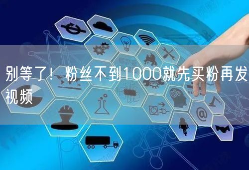 别等了！粉丝不到1000就先买粉再发视频