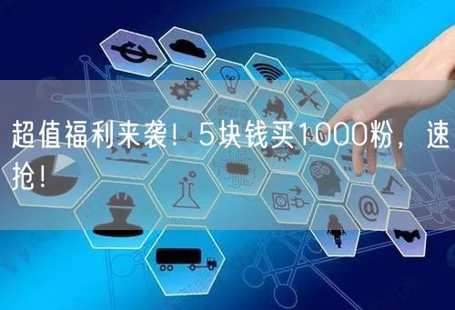 超值福利来袭！5块钱买1000粉，速抢！
