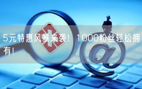 5元特惠风暴来袭！1000粉丝轻松拥有！