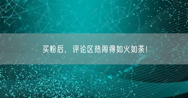 买粉后，评论区热闹得如火如荼！