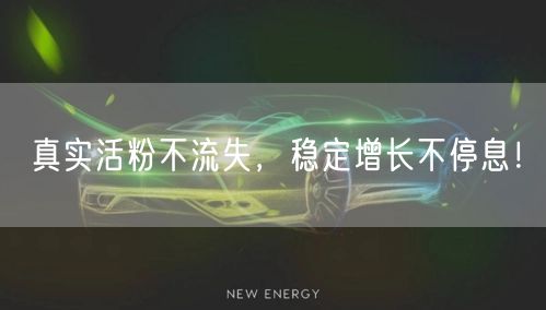 真实活粉不流失，稳定增长不停息！