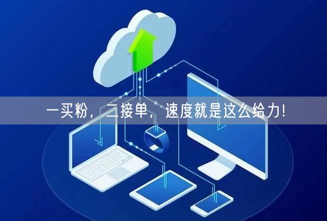 一买粉，二接单，速度就是这么给力！