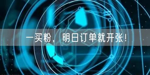 一买粉，明日订单就开张！