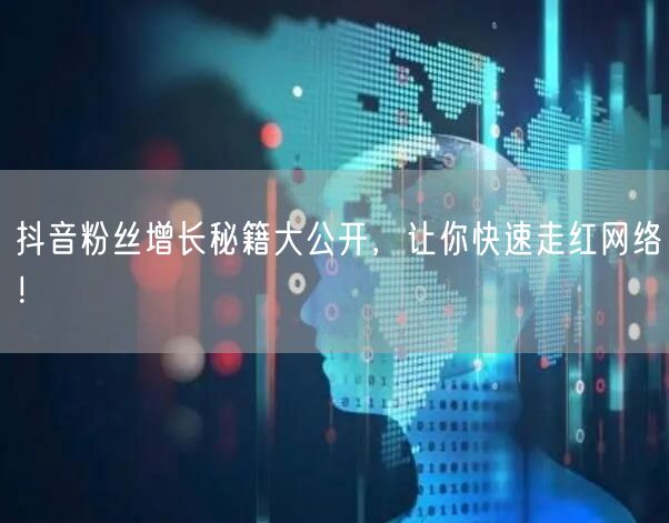 抖音粉丝增长秘籍大公开，让你快速走红网络！
