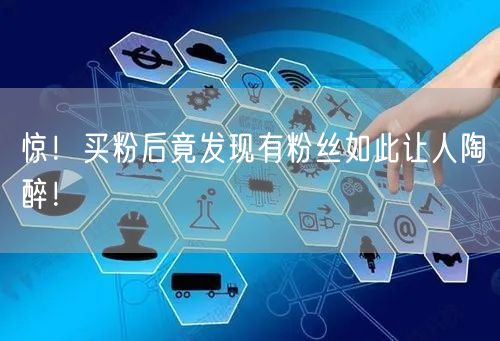惊！买粉后竟发现有粉丝如此让人陶醉！