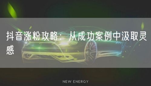 抖音涨粉攻略：从成功案例中汲取灵感