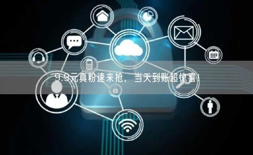 9.9元真粉速来抢，当天到账超惊喜！