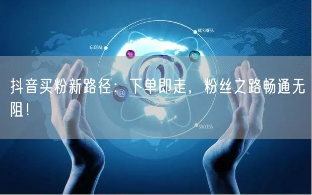 抖音买粉新路径：下单即走，粉丝之路畅通无阻！