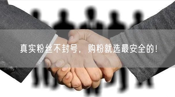 真实粉丝不封号，购粉就选最安全的！