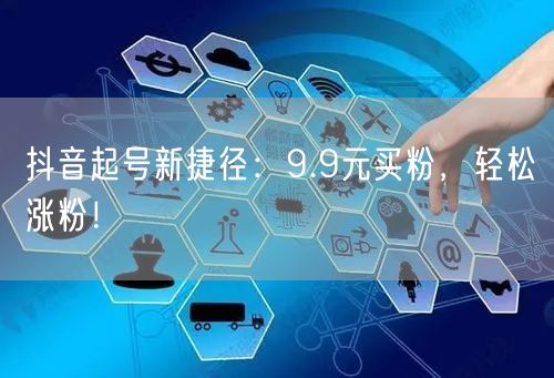 抖音起号新捷径：9.9元买粉，轻松涨粉！
