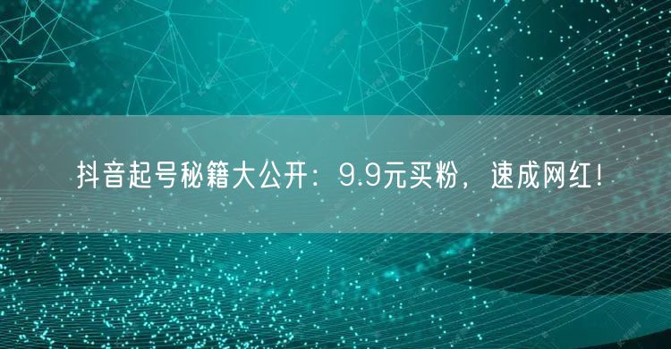 抖音起号秘籍大公开：9.9元买粉，速成网红！