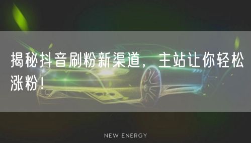 揭秘抖音刷粉新渠道，主站让你轻松涨粉！