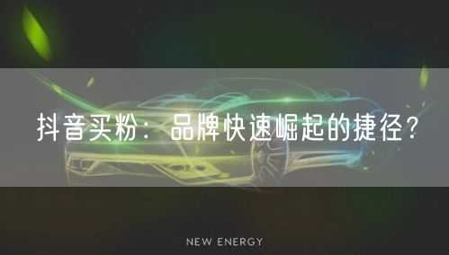 抖音买粉：品牌快速崛起的捷径？