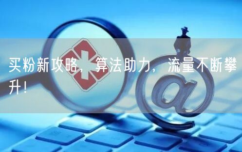 买粉新攻略，算法助力，流量不断攀升！