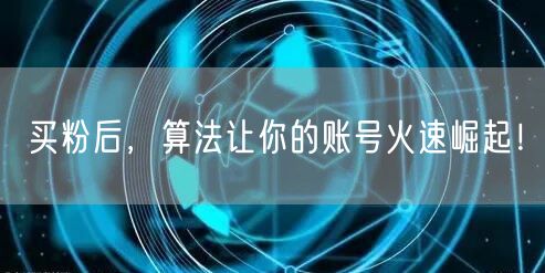 买粉后，算法让你的账号火速崛起！