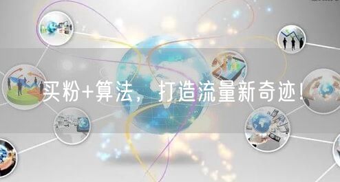 买粉+算法，打造流量新奇迹！