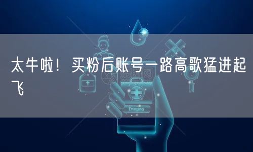 太牛啦！买粉后账号一路高歌猛进起飞