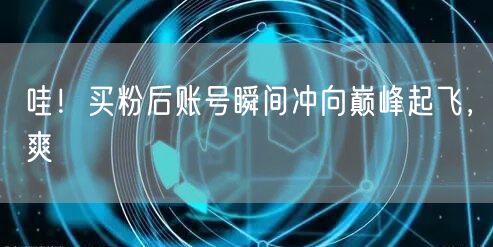 哇！买粉后账号瞬间冲向巅峰起飞，爽