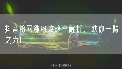 抖音粉网涨粉攻略全解析，助你一臂之力！