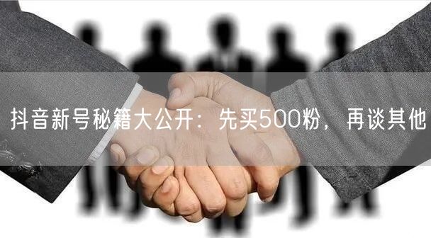抖音新号秘籍大公开：先买500粉，再谈其他