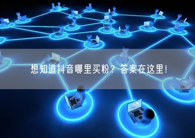 想知道抖音哪里买粉？答案在这里！