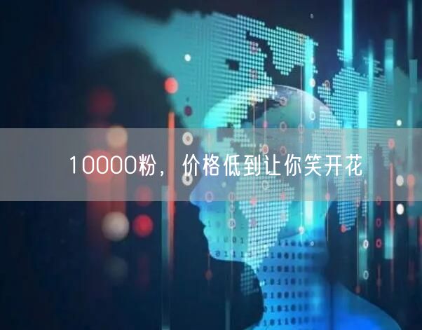 10000粉，价格低到让你笑开花
