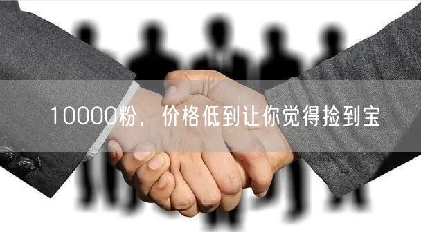 10000粉，价格低到让你觉得捡到宝