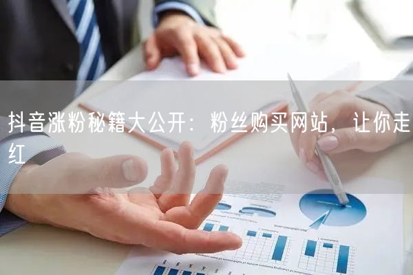 抖音涨粉秘籍大公开：粉丝购买网站，让你走红