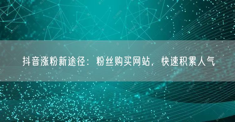 抖音涨粉新途径：粉丝购买网站，快速积累人气