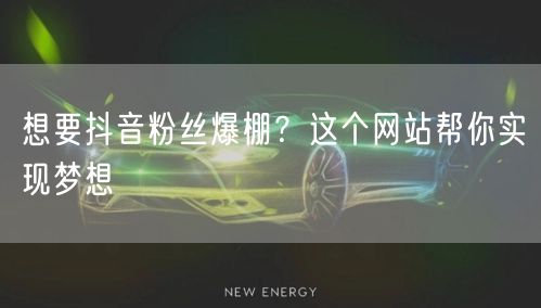 想要抖音粉丝爆棚？这个网站帮你实现梦想