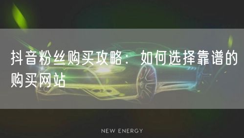 抖音粉丝购买攻略：如何选择靠谱的购买网站