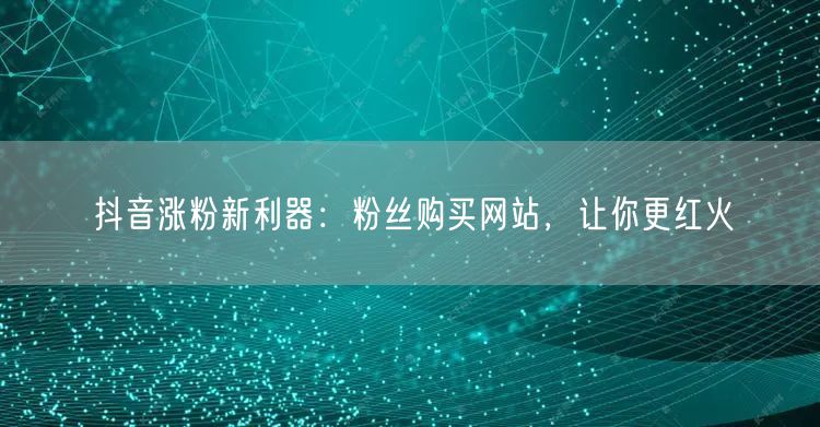抖音涨粉新利器：粉丝购买网站，让你更红火