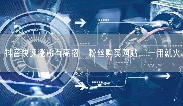 抖音快速涨粉有高招：粉丝购买网站，一用就火